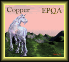Award EPQA