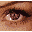 Icon Nr. 52950 (32 x 32 px, 16 Farben): Auge (Kategorie Menschen, Schule und Beruf) Auge